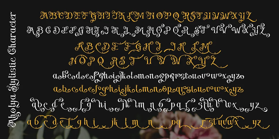 Aholya by TypeClassHeroes — Decorative Font — thumbnail 9