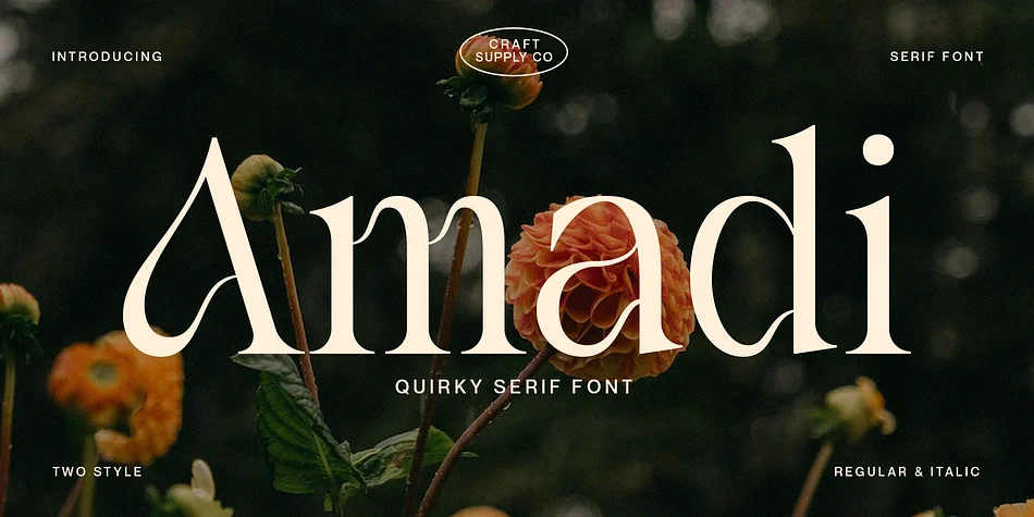 Amadi by Craft Supply Co. — Decorative Font