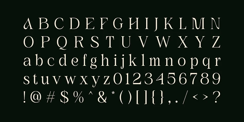 Amadi by Craft Supply Co. — Decorative Font — thumbnail 6