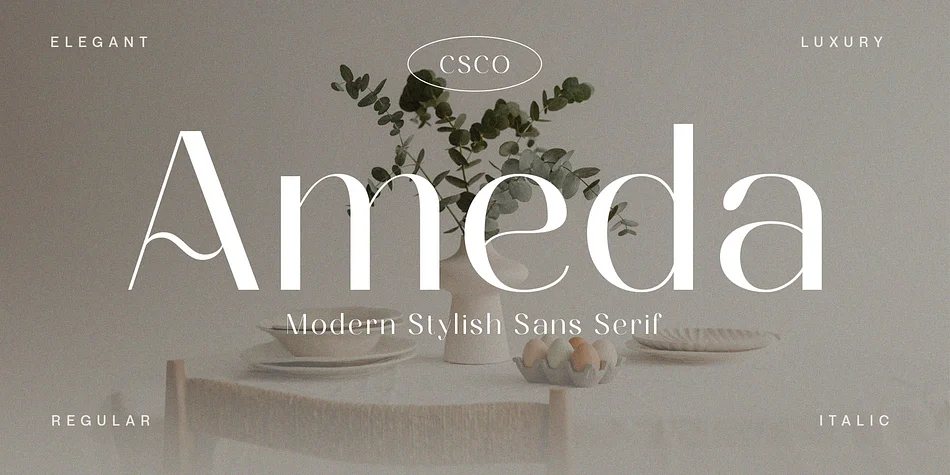 Ameda by Craft Supply Co. — Decorative Font