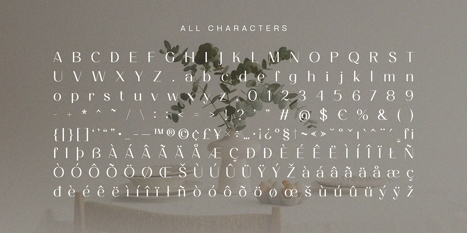 Ameda by Craft Supply Co. — Decorative Font — thumbnail 6