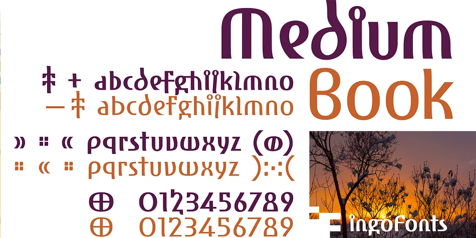 Amhara by ingoFonts — Display Font — thumbnail 3