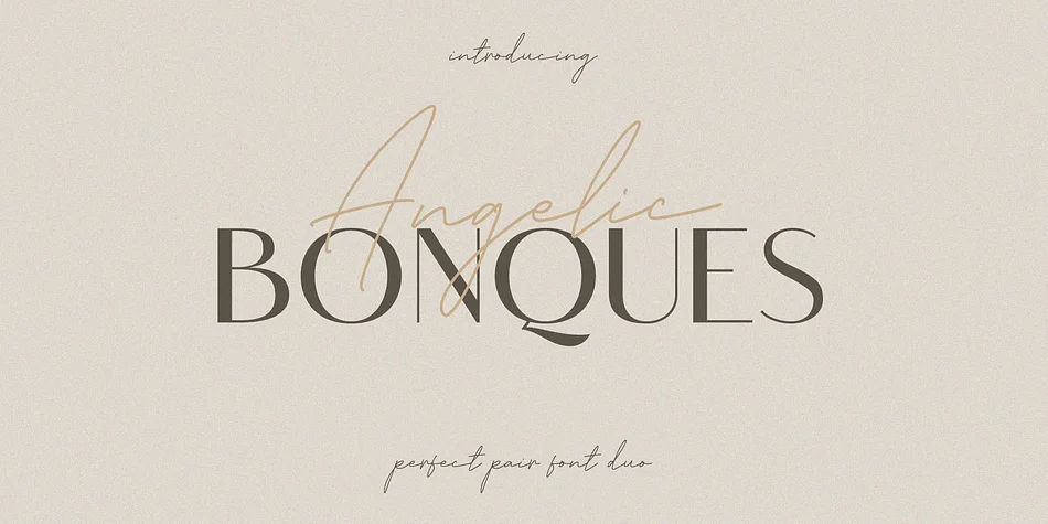 Angelic Bonques by Craft Supply Co. — Display Font