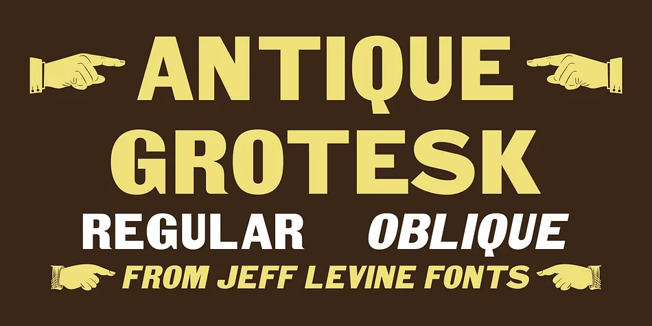 Antique Grotesk JNL by Jeff Levine Fonts — Display Font