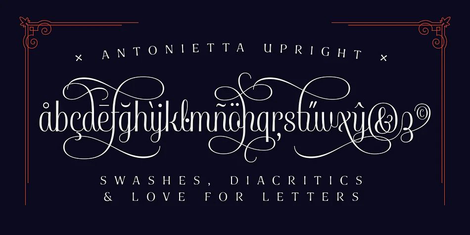 Antonietta by Latinotype — Dingbats Font — thumbnail 4