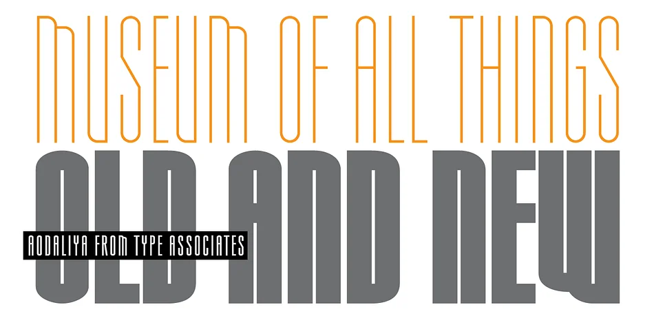 Aodaliya by Type Associates — Display Font — thumbnail 6
