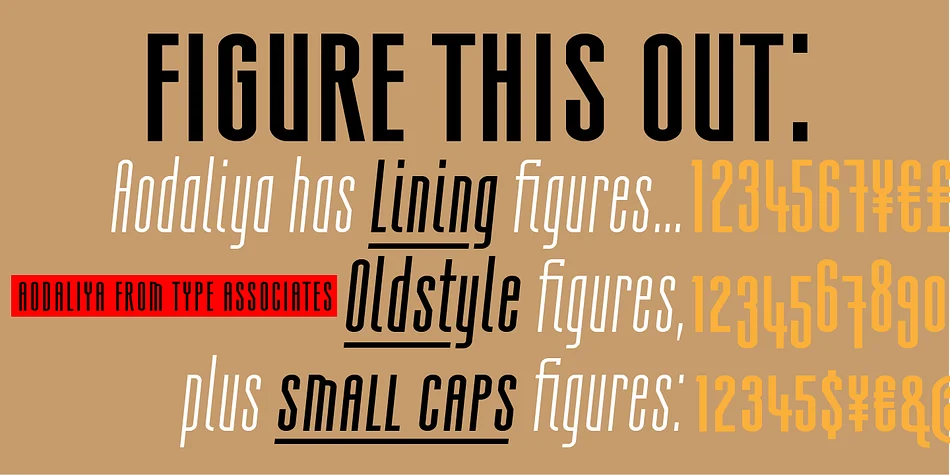 Aodaliya by Type Associates — Display Font — thumbnail 7