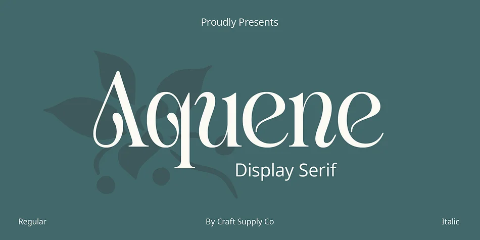 Aquene by Craft Supply Co. — Decorative Font