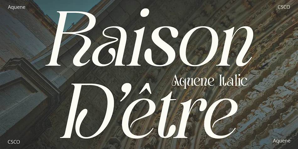 Aquene by Craft Supply Co. — Decorative Font — thumbnail 2
