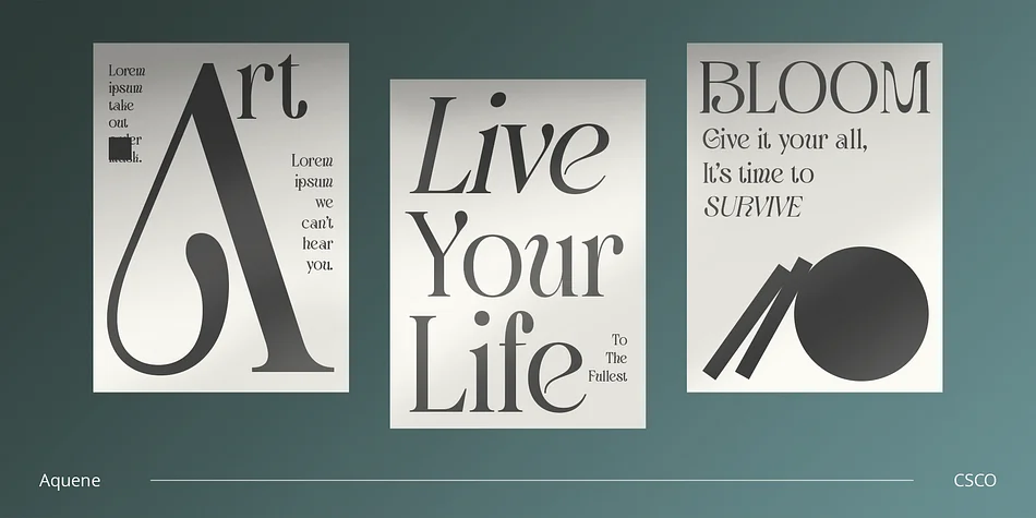 Aquene by Craft Supply Co. — Decorative Font — thumbnail 3