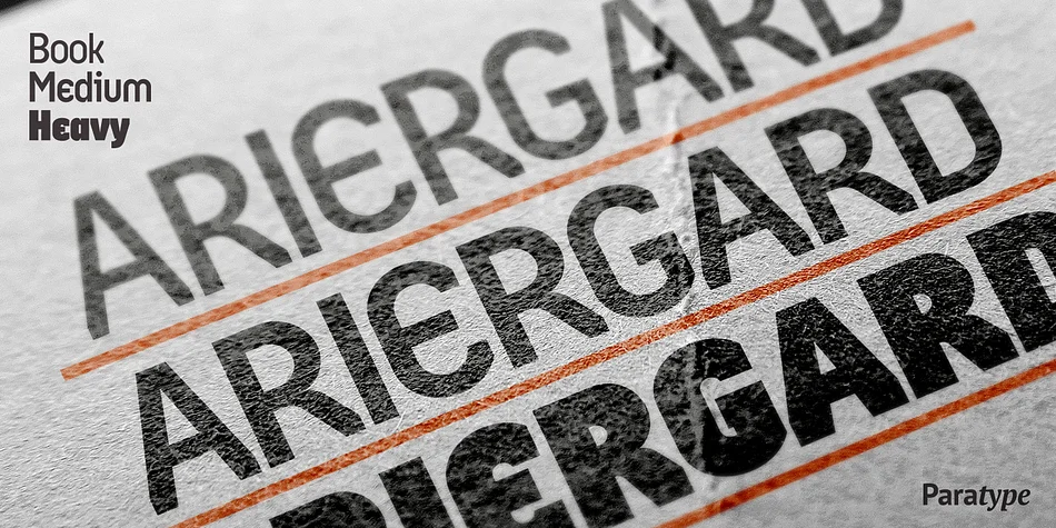 Ariergard by ParaType — Display Font