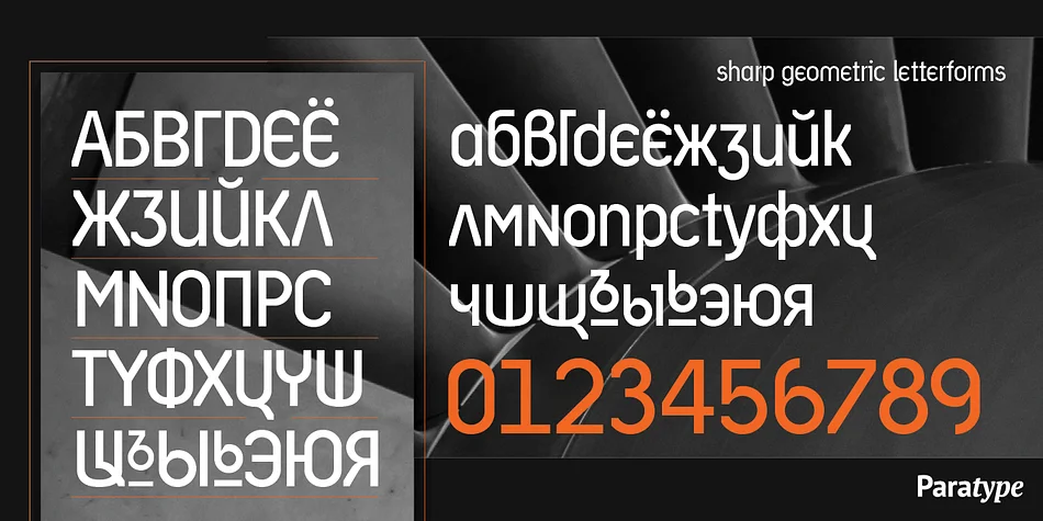 Ariergard by ParaType — Display Font — thumbnail 3