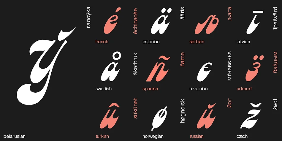 Astron by ParaType — Script Handwritten Font — thumbnail 5