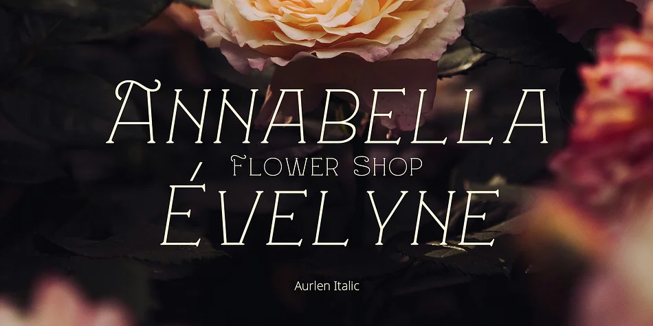 Aurlen by Craft Supply Co. — Decorative Font — thumbnail 2
