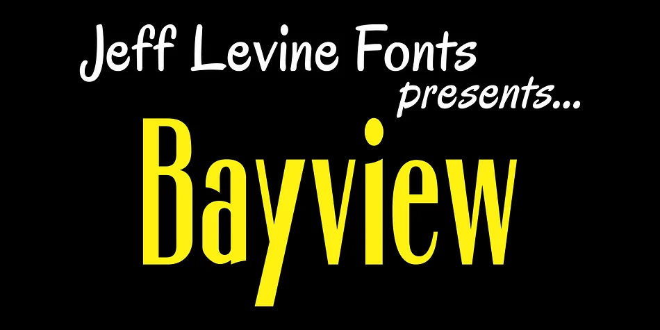 Bayview JNL by Jeff Levine Fonts — Display Font