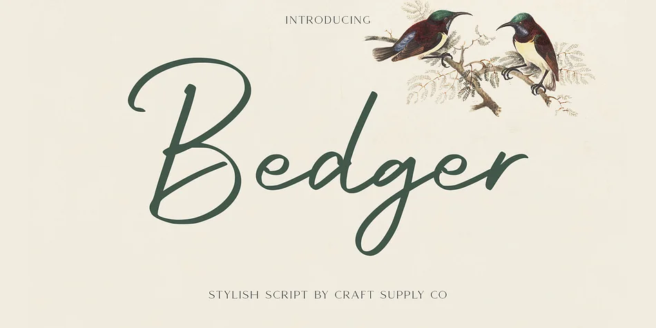 Bedger by Craft Supply Co. — Script Handwritten Font