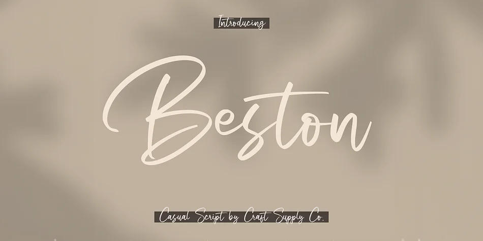 Beston by Craft Supply Co. — Script Handwritten Font