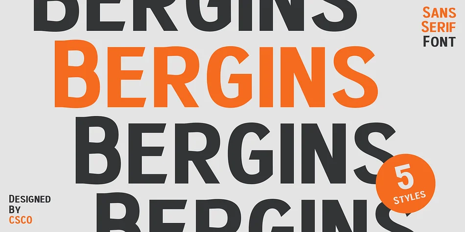 Bergins by Craft Supply Co. — Display Font