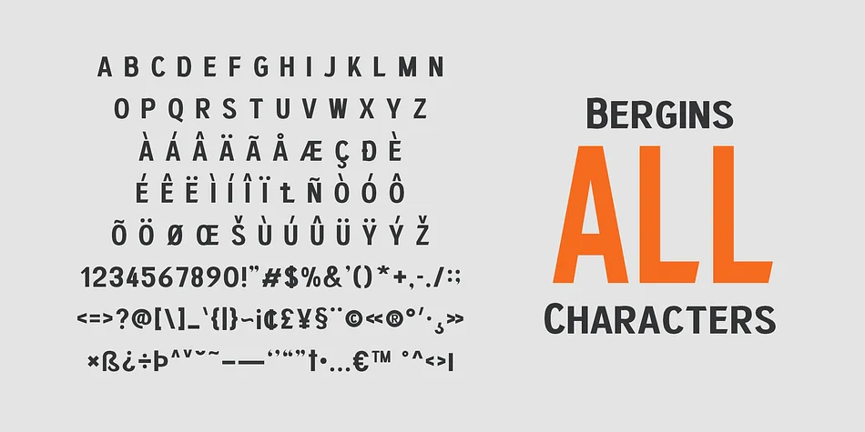 Bergins by Craft Supply Co. — Display Font — thumbnail 6