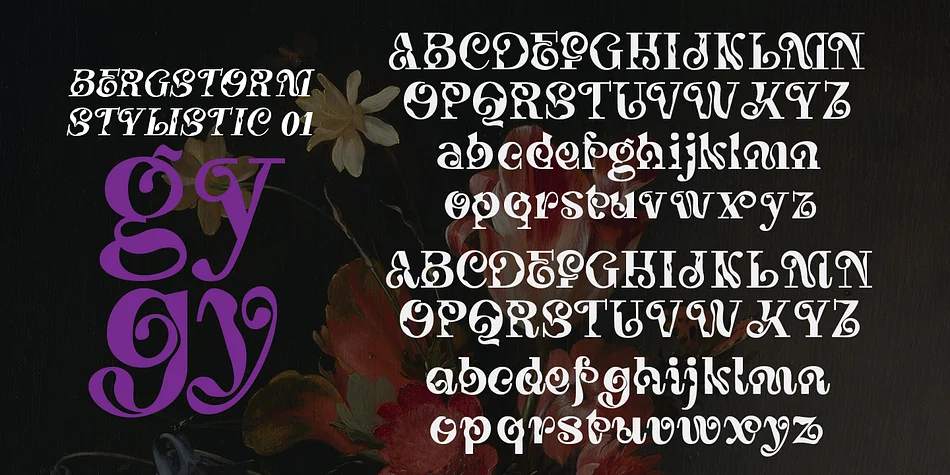 Bergstorm by TypeClassHeroes — Decorative Font — thumbnail 6