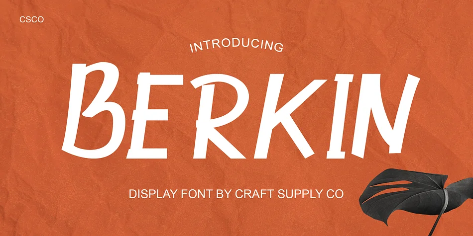 Berkin by Craft Supply Co. — Display Font