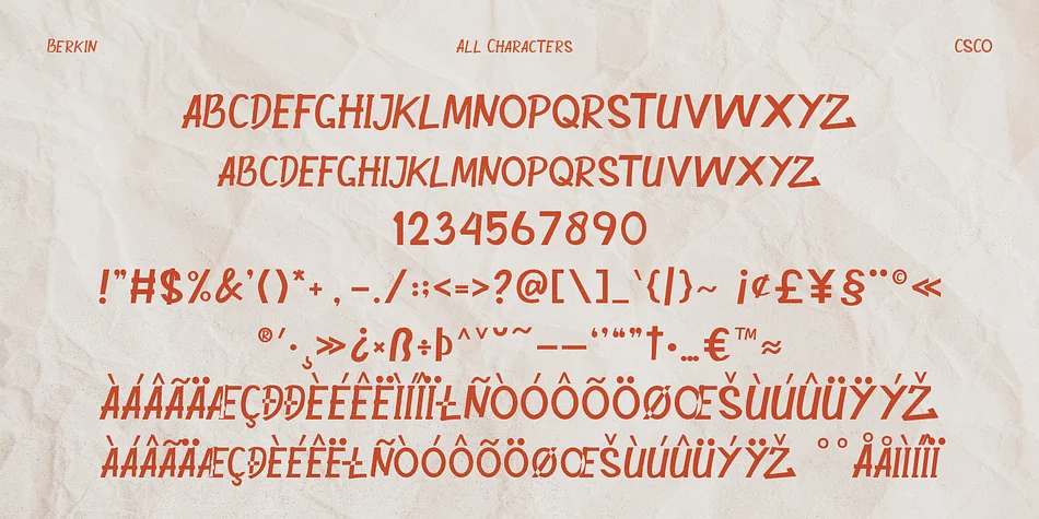Berkin by Craft Supply Co. — Display Font — thumbnail 6