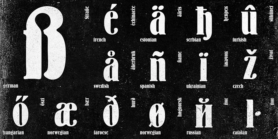 Bernhard by ParaType — Decorative Font — thumbnail 4