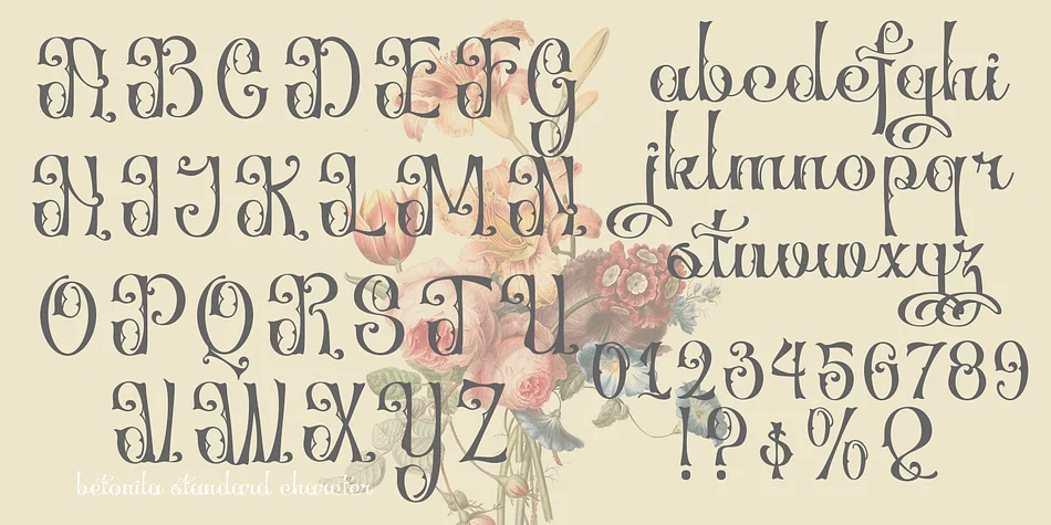 Betonila by TypeClassHeroes — Decorative Font — thumbnail 4