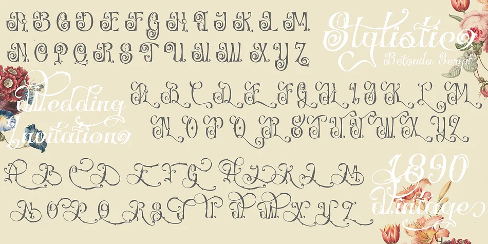Betonila by TypeClassHeroes — Decorative Font — thumbnail 6