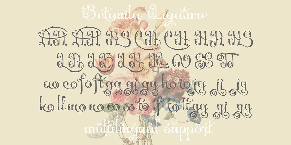 Betonila by TypeClassHeroes — Decorative Font — thumbnail 8