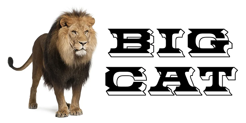 BIG CAT OPEN by FontMesa — Decorative Font