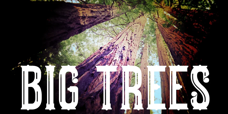Big Trees by A New Machine — Decorative Font