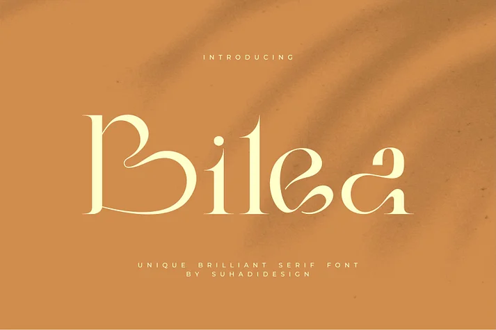 Bilea by suhadidesign β Decorative Font