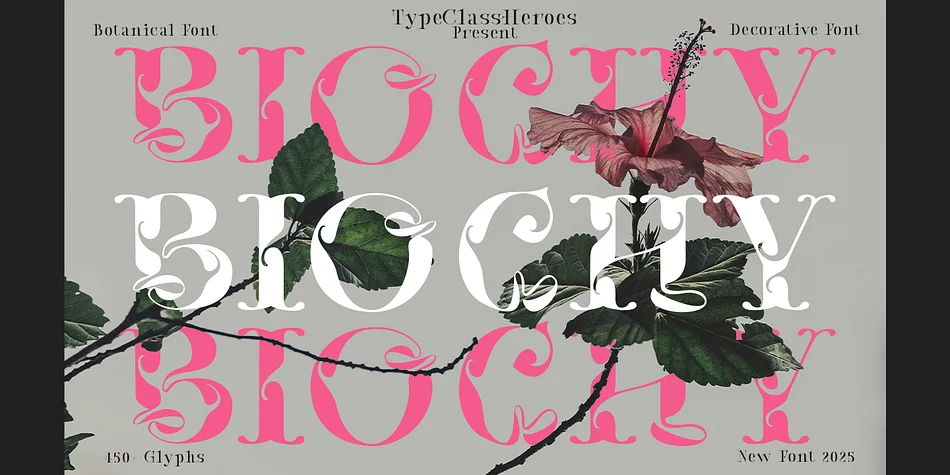 Biochy by TypeClassHeroes — Decorative Font