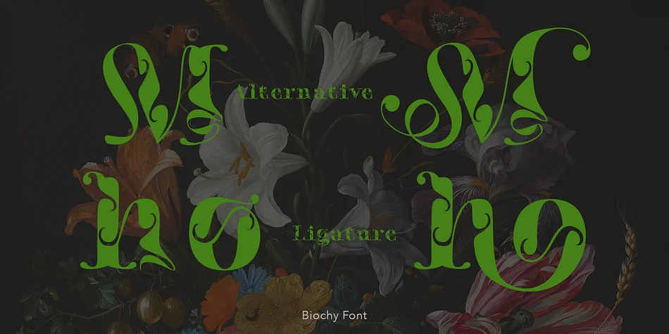 Biochy by TypeClassHeroes — Decorative Font — thumbnail 4