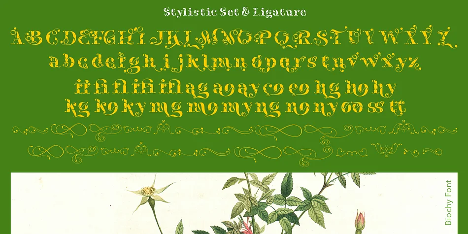 Biochy by TypeClassHeroes — Decorative Font — thumbnail 9