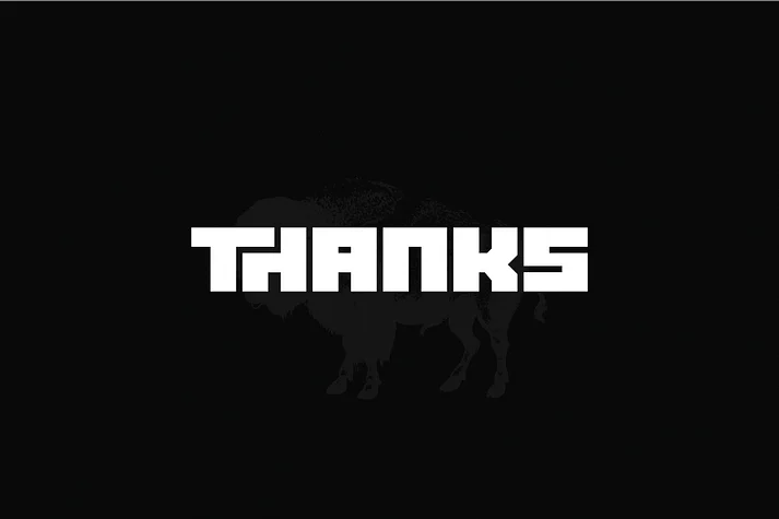 bison by Linecreative — Display Font — thumbnail 8