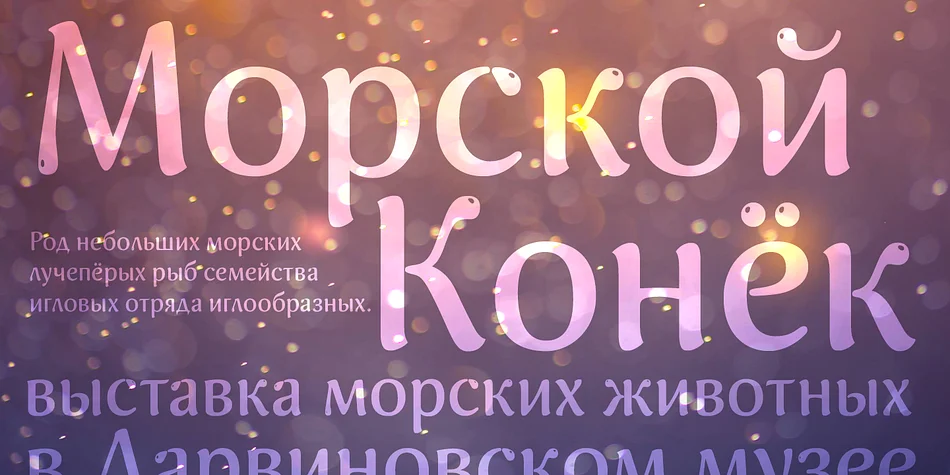 Blick by ParaType — Display Font — thumbnail 6