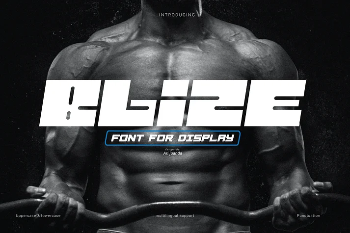 Blize by Linecreative — Display Font — thumbnail 10