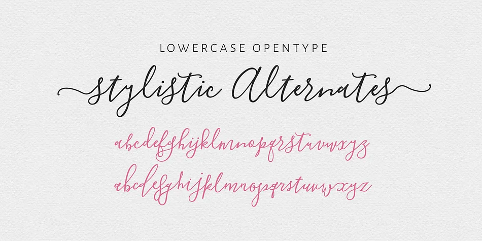 Blooming Elegant by Nicky Laatz — Dingbats Font — thumbnail 10