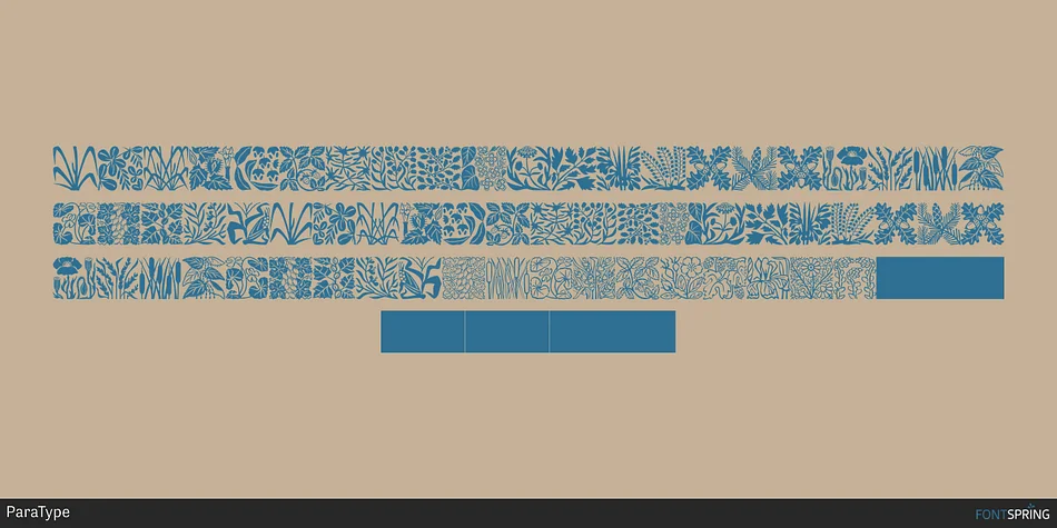 Blooming Meadow by ParaType — Dingbats Font