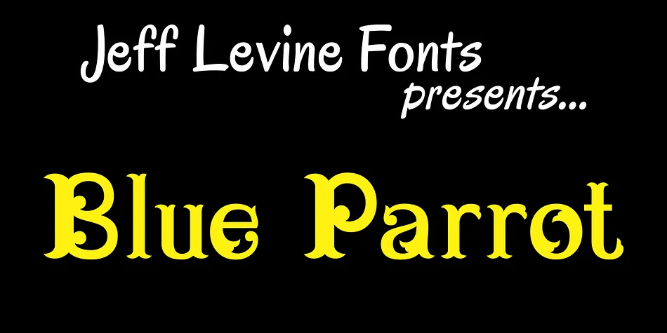 Blue Parrot JNL by Jeff Levine Fonts — Display Font