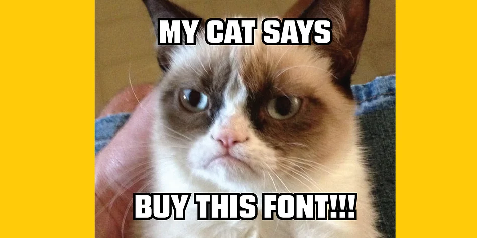 Blunt by Miller Type Foundry — Display Font — thumbnail 10