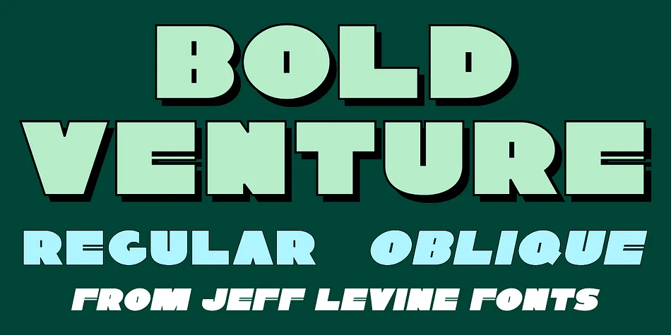 Bold Venture JNL by Jeff Levine Fonts — Display Font