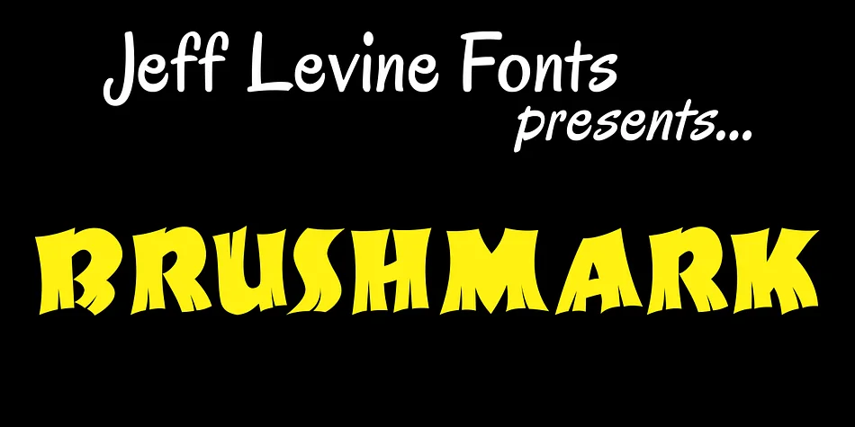 BRUSHMARK JNL by Jeff Levine Fonts — Display Font