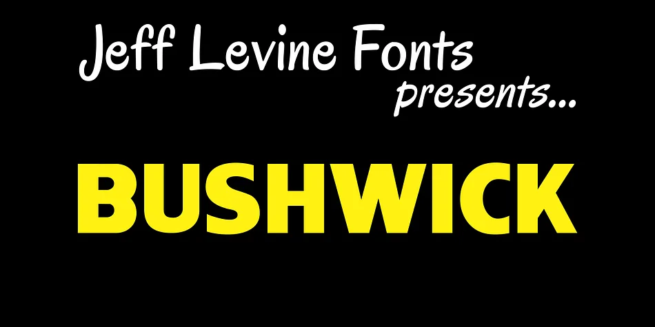 BUSHWICK JNL by Jeff Levine Fonts — Display Font