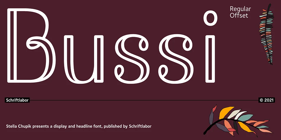 Bussi by Schriftlabor β Display Font
