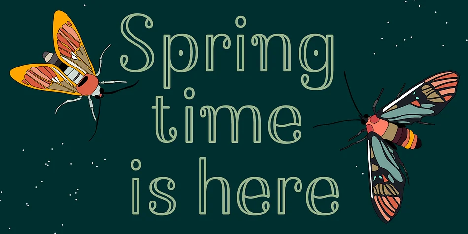 Bussi by Schriftlabor — Display Font — thumbnail 2