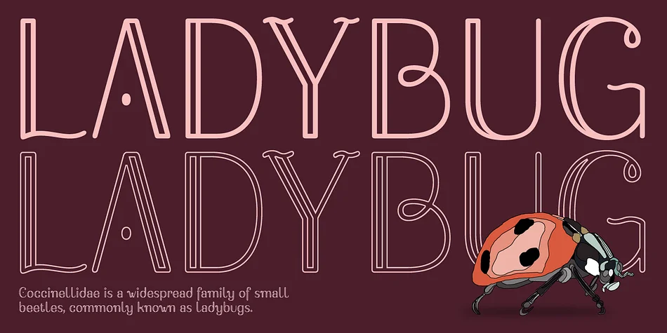 Bussi by Schriftlabor — Display Font — thumbnail 4