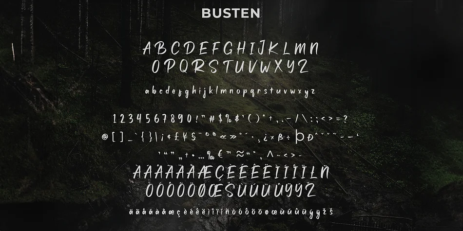 Busten by Craft Supply Co. — Script Handwritten Font — thumbnail 6